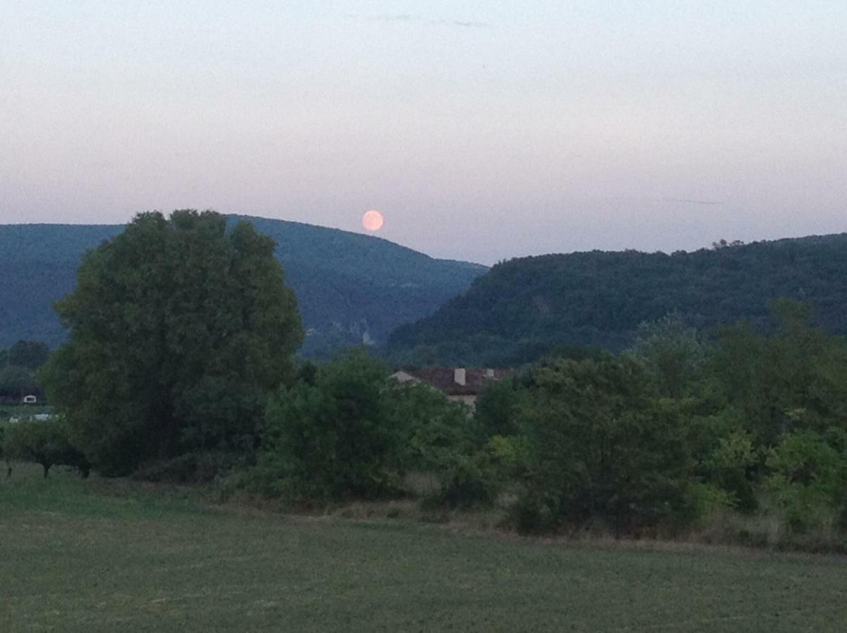 Au Mas Des Graviers Panzió Salavas Kültér fotó