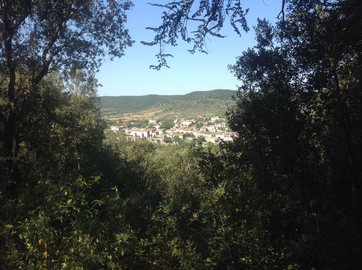 Au Mas Des Graviers Panzió Salavas Kültér fotó